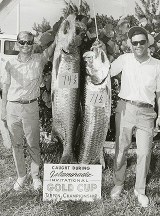 The Islamorada Fishing Club was founded in 1950 by a group of avid fishermen, fishing guides, charter boat captains and their peers. 